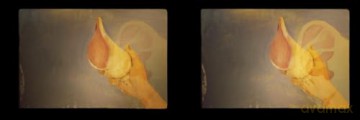 Robert Gober: Slides of a Changing Painting - Robert Gober [KSIĄŻKA]