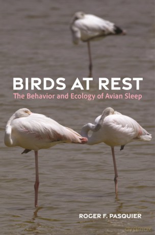 Birds at Rest: The Behavior and Ecology of Avian Sleep - Roger Pasquier [KSIĄŻKA]