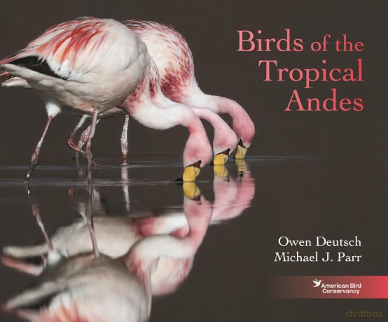 Birds of the Tropical Andes - Owen Deutsch [KSIĄŻKA]