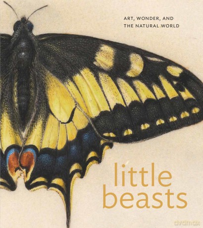 Little Beasts: Art, Wonder, and the Natural World - Alexandra Libby [KSIĄŻKA]
