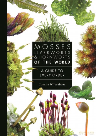 Mosses, Liverworts, and Hornworts of the World: A Guide to Every Order (A Guide to Every Family) - Joanna Wilbraham [KSIĄŻKA]
