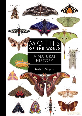Moths of the World: A Natural History: 11 (A Guide to Every Family) - David L. Wagner [KSIĄŻKA]