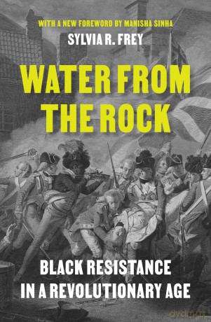 Water from the Rock: Black Resistance in a Revolutionary Age - Sylvia R. Frey [KSIĄŻKA]