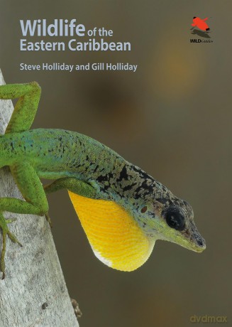 Wildlife of the Eastern Caribbean (Wildlife Explorer Guides) - Steve Holliday [KSIĄŻKA]