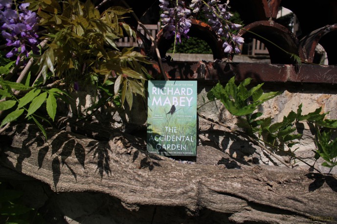 The Accidental Garden: Gardens, Wilderness and the Space In Between: LONGLISTED FOR THE WAINWRIGHT PRIZE - Richard Mabey [KSIĄŻKA]