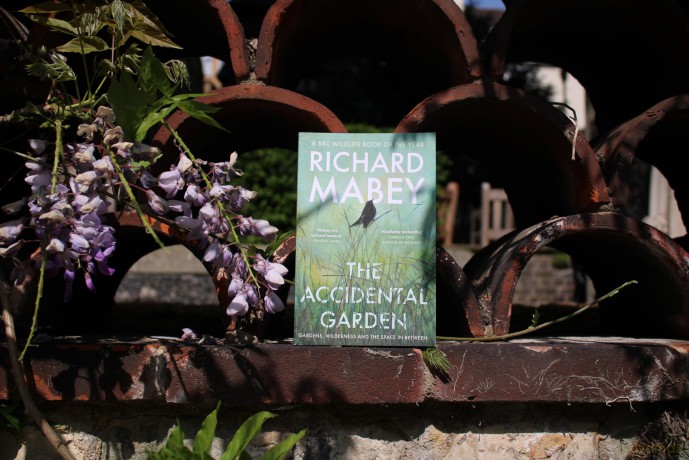 The Accidental Garden: Gardens, Wilderness and the Space In Between: LONGLISTED FOR THE WAINWRIGHT PRIZE - Richard Mabey [KSIĄŻKA]