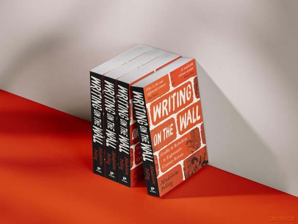 Writing on the Wall: Graffiti and Rebellion in Eighteenth-Century Britain - Madeleine Pelling [KSIĄŻKA]