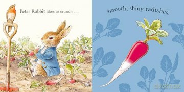 Peter Rabbit: Forest Feast: A Touch-and-Feel Book - Beatrix Potter [KSIĄŻKA]
