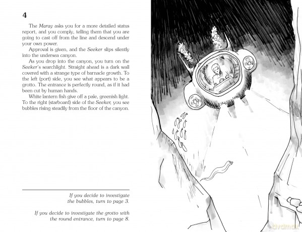 Journey Under the Sea (Choose Your Own Adventure) - R.A. Montgomery [KSIĄŻKA]