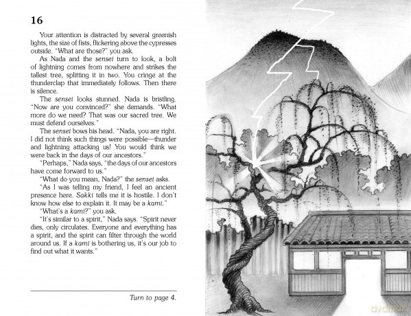 Secret of the Ninja (Choose Your Own Adventure) - Jay Leibold [KSIĄŻKA]