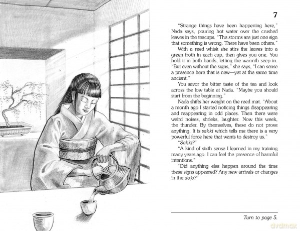 Secret of the Ninja (Choose Your Own Adventure) - Jay Leibold [KSIĄŻKA]