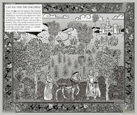 The Magic of the Unicorn (Choose Your Own Adventure) - Deborah Lerme Goodman [KSIĄŻKA]