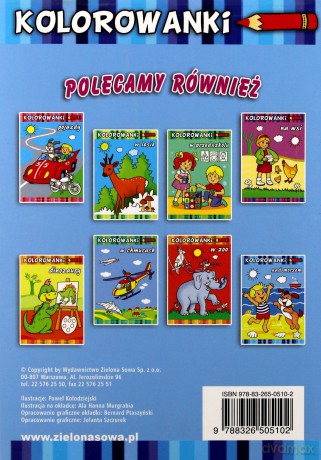 Nad morzem. Kolorowanki ZS [KSIĄŻKA]