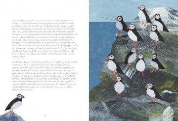 Bird Lore: The Myths, Folklore and Meaning of Birds - Sally Coulthard [KSIĄŻKA]