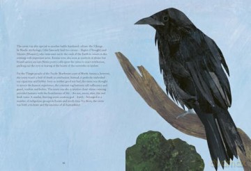 Bird Lore: The Myths, Folklore and Meaning of Birds - Sally Coulthard [KSIĄŻKA]