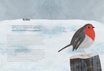 Bird Lore: The Myths, Folklore and Meaning of Birds - Sally Coulthard [KSIĄŻKA]