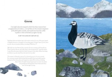 Bird Lore: The Myths, Folklore and Meaning of Birds - Sally Coulthard [KSIĄŻKA]