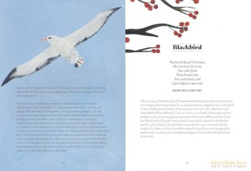 Bird Lore: The Myths, Folklore and Meaning of Birds - Sally Coulthard [KSIĄŻKA]
