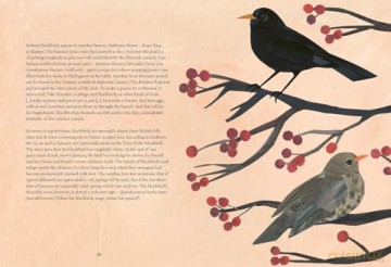 Bird Lore: The Myths, Folklore and Meaning of Birds - Sally Coulthard [KSIĄŻKA]