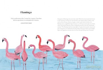 Bird Lore: The Myths, Folklore and Meaning of Birds - Sally Coulthard [KSIĄŻKA]