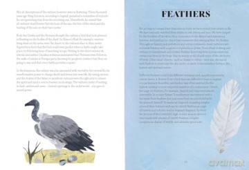 Bird Lore: The Myths, Folklore and Meaning of Birds - Sally Coulthard [KSIĄŻKA]