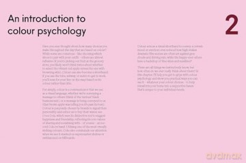 Master The Art Of Colour: Practical Advice from the Room Renovations Expert - Tash Bradley [KSIĄŻKA]