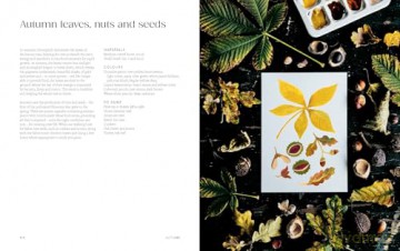 Painting Nature: Techniques, Tutorials and Projects - Gemma Koomen [KSIĄŻKA]