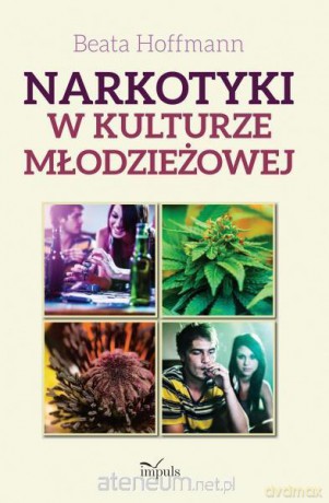 Narkotyki w kulturze młodzieżowej [KSIĄŻKA]