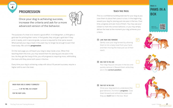 The Dog Tricks and Training Workbook, Revised and Expanded: A Step-by-Step Interactive Curriculum to Engage, Challenge, and Bond with Your Dog - Kyra Sundance [KSIĄŻKA]