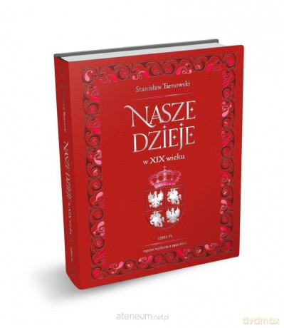 Nasze dzieje w XIX wieku [KSIĄŻKA]