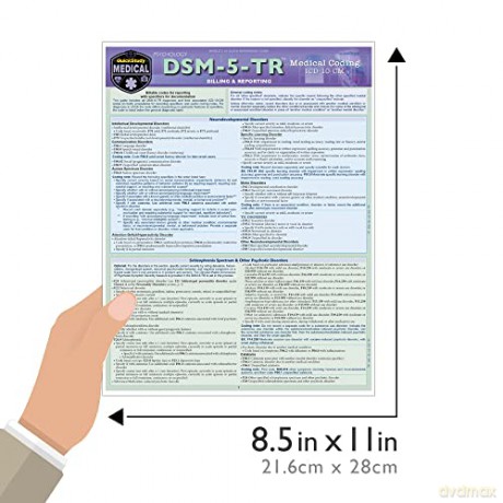 Dsm-5-Tr Medical Coding: A Quickstudy Laminated Reference Guide - Rona Bernstein PsyD [KSIĄŻKA]