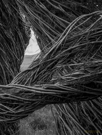 Patrick Dougherty | James Florio: Sticks - Patrick Dougherty [KSIĄŻKA]