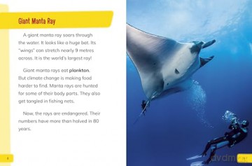 Endangered Fish Around the World (Endangered Animals Around the World) - Lisa J. Amstutz [KSIĄŻKA]