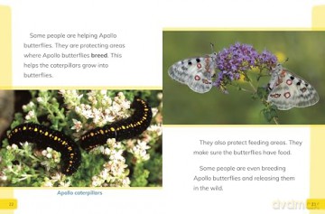 Endangered Invertebrates Around the World (Endangered Animals Around the World) - Golriz Golkar [KSIĄŻKA]
