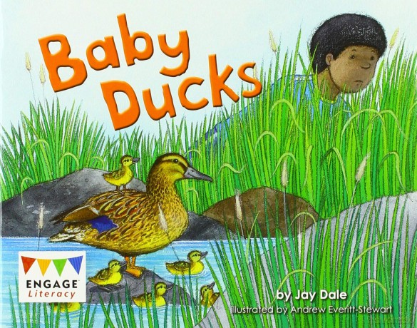Engage Literacy Red: Baby Ducks - Jay Dale [KSIĄŻKA]