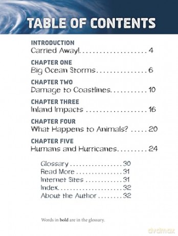 Hurricanes and the Environment (Disasters and the Environment) - Ailynn Collins [KSIĄŻKA]