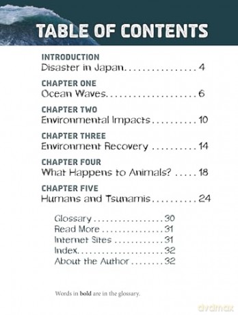 Tsunamis and the Environment (Disasters and the Environment) - Ailynn Collins [KSIĄŻKA]