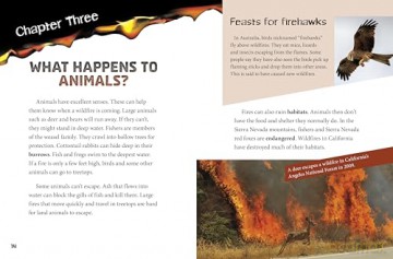 Wildfires and the Environment (Disasters and the Environment) - Marcia Amidon Lusted [KSIĄŻKA]