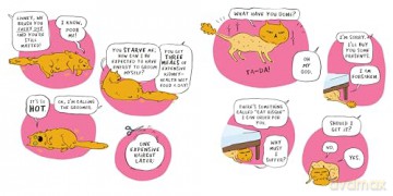 Woe: A Housecat's Story of Despair: (A Graphic Novel) - Lucy Knisley [KSIĄŻKA]