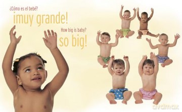 !Habla, bebe! (Baby! Talk! Spanish-English Bilingual Edition) - Penny Gentieu [KSIĄŻKA]