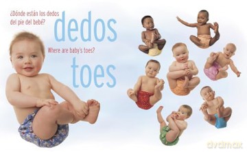 !Habla, bebe! (Baby! Talk! Spanish-English Bilingual Edition) - Penny Gentieu [KSIĄŻKA]