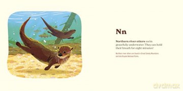 Animals of the National Parks: An Alphabet Book - Fifty-Nine Parks [KSIĄŻKA]