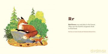 Animals of the National Parks: An Alphabet Book - Fifty-Nine Parks [KSIĄŻKA]