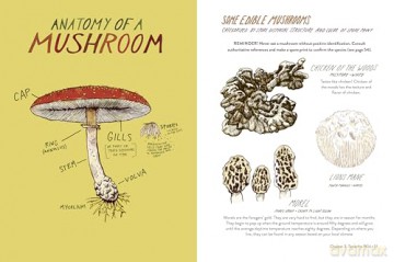 Everyday Wild. Subtitle changed to: An Illustrated Guide for Mindfulness in Nature. - Kathryn Hunter [KSIĄŻKA]