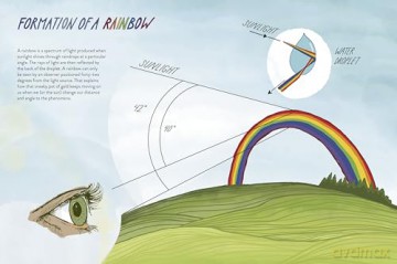 Everyday Wild. Subtitle changed to: An Illustrated Guide for Mindfulness in Nature. - Kathryn Hunter [KSIĄŻKA]