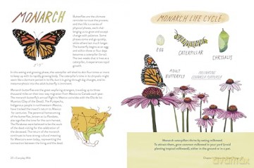 Everyday Wild. Subtitle changed to: An Illustrated Guide for Mindfulness in Nature. - Kathryn Hunter [KSIĄŻKA]