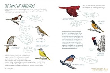 Everyday Wild. Subtitle changed to: An Illustrated Guide for Mindfulness in Nature. - Kathryn Hunter [KSIĄŻKA]