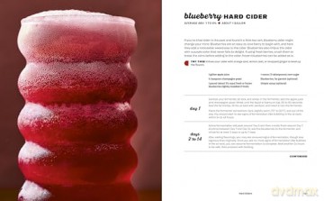 Hard Seltzer, Iced Tea, Kombucha, and Cider: How to Make Your Own Boozy Fermented Drinks - Emma Christensen [KSIĄŻKA]