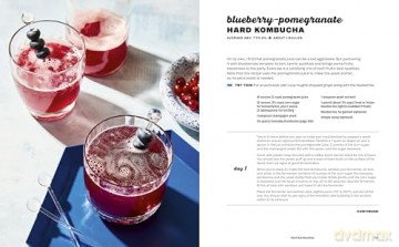 Hard Seltzer, Iced Tea, Kombucha, and Cider: How to Make Your Own Boozy Fermented Drinks - Emma Christensen [KSIĄŻKA]