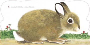 Richard Scarry's Bunnies: A Classic Board Book for Babies and Toddlers - Richard Scarry [KSIĄŻKA]